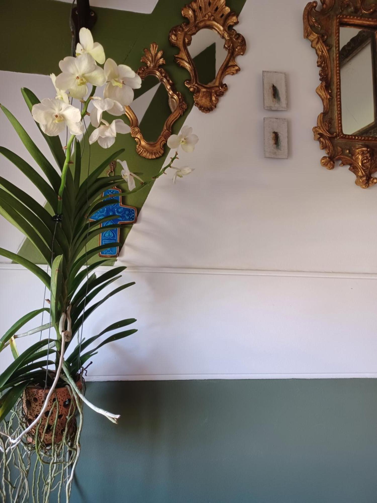 캥페르 Le Banellou B&B 외부 사진