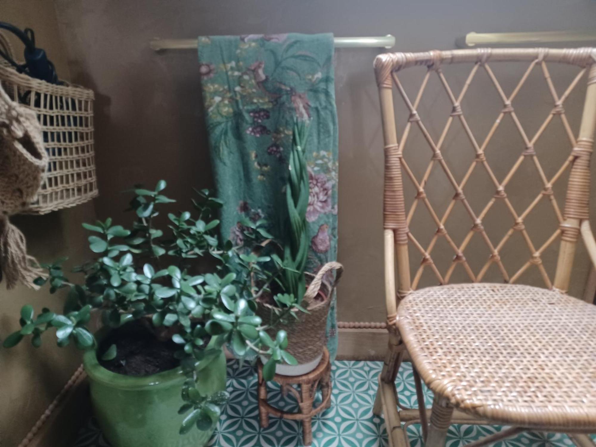 캥페르 Le Banellou B&B 외부 사진